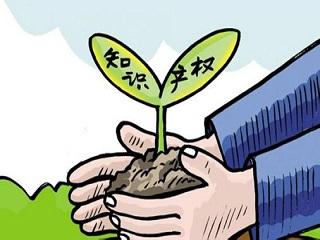 知识产权侵权行为将纳入社会信用记录