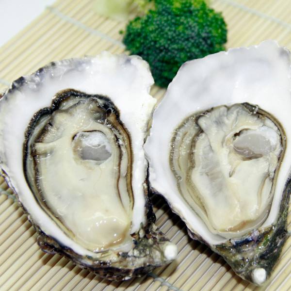 吉娜朵VS吉拉多，谁才是真正的法国Gillardeau生蚝